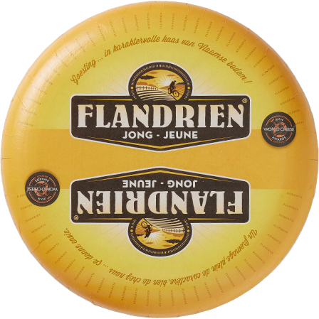 flandrien jong