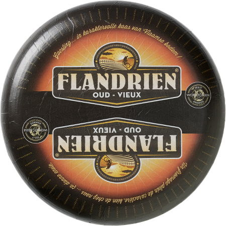 flandrien oud